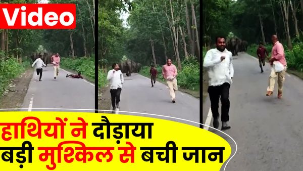 UP News: हाथी को देखकर ले रहे थे सेल्फी, झुंड ने दौड़ाया तो गिरते हुए भागे, बमुश्किल बची जान, देखें Video