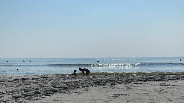 अमेरिका में Andhra के सॉफ्टवेयर इंजीनियर की मौत, बेटे को बचाने लिए समुद्र में लगाई थी छलांग
