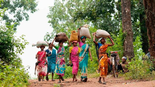 Odisha: ओडिशा सरकार जंगल में रहने वाले आदिवासियों के लिए उठाएगी ये बड़ा कदम 