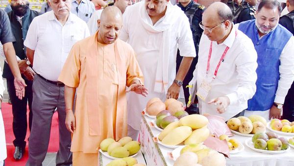 UP Mango Festival 2023: जब 'योगीराज' से हुआ सामना तो जानिए लोगों ने क्या दी प्रतिक्रिया