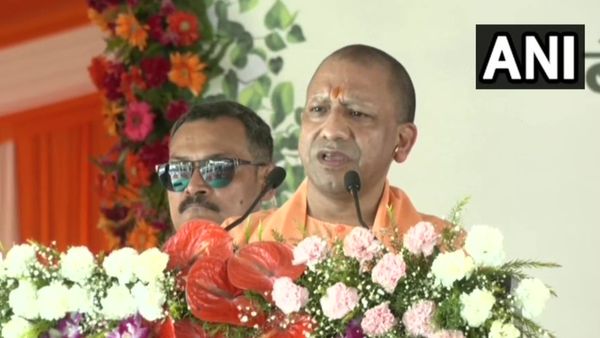 UP News: वृक्षारोपण के बहाने योगी ने साधा सियासी समीकरण, बोले- अब पश्चिमी यूपी का हो रहा विकास