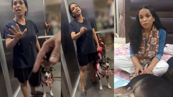 'तुम्हारी बीवी से तो बेहतर हूं...' कहने वाली महिला का नया VIDEO, बताया- लिफ्ट में क्या-क्या हुआ था?