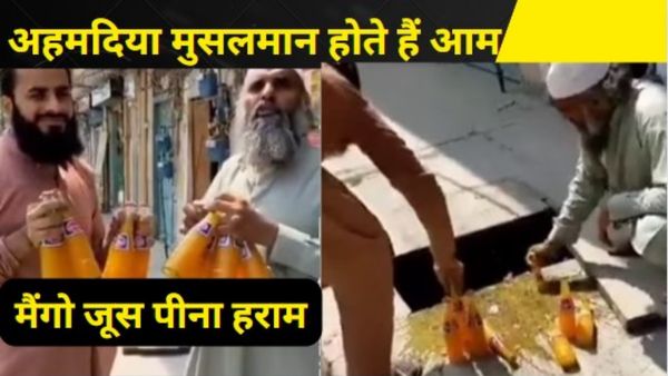 पाकिस्तानी मौलानाओं ने आम को घोषित किया अहमदिया मुसलमान, तोड़े बोतल, मैंगो जूस हुआ हराम