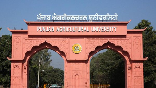 Agricultural Museum Global Meet: पंजाब में पहली बार किसानों के लिए अनोखा आयोजन, जानिए मकसद