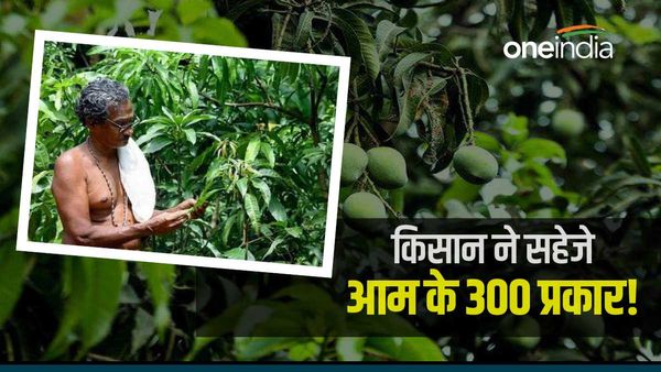 300 Mango Variety का संरक्षण करने वाले केरल के शंकरन, विलुप्त हो रही प्रजातियों को सहेज रहे किसान