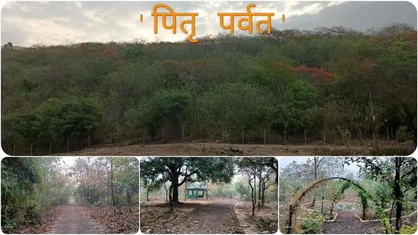 'पितृ छाया वाटिका' में सदियों तक 'वृक्ष' बनकर जिंदा रहेंगी अपनों की यादें