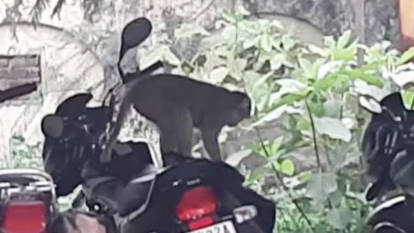 Rampur में जब आसमान से अचानक यूं बरसने लगे 500-500 के नोट, जानें हैरान कर देने वाला मामला