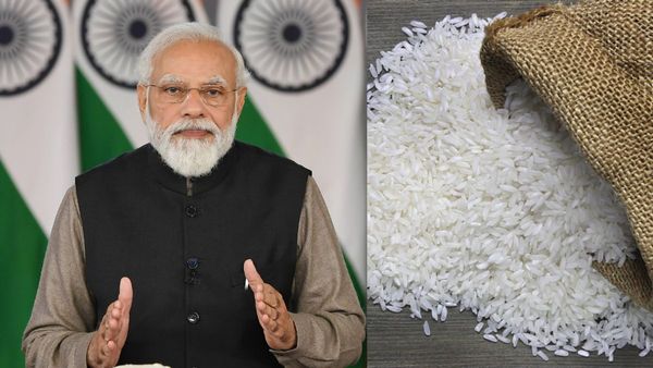 Rice Export Ban: भारत ने चावल भेजना बंद किया तो मचा दुनिया में हाहाकार, अब IMF ने भारत से की ये अपील