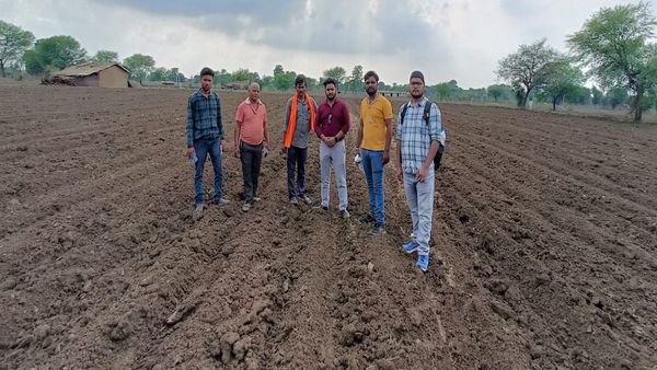 खेतों में 'पीला सोना' बचाने सरकार सिखा रही 'रिज एंड फैरो मेथड', किसान बनेंगे मालामाल