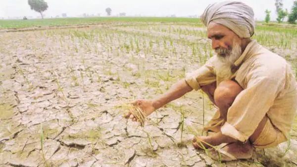 बारिश की कमी, सूखी नहरों ने ओडिशा के किसानों की उम्मीदों पर फेरा पानी