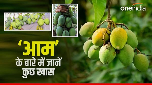 भारत के बाद सबसे ज्‍यादा कहां पैदा होता है आम, जानें कौन सा है दुनिया का सबसे महंगा MANGO