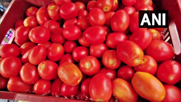 Tomato Price: कीमतों में लगी आग से चिंता गहराई, सरकार प्रमुख राज्यों के संपर्क में, NAFED-NCCF को मिला जिम्मा