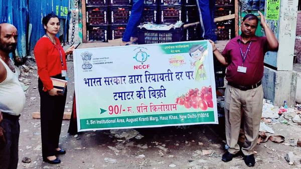 Tomato Price: दिल्ली-एनसीआर में 200 नहीं अब 90 रुपए प्रतिकिलो हुए टमाटर, सरकार ने शुरू की बिक्री