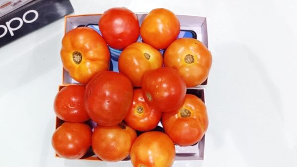 Tomato Price Hike: मोबाइल खरीदो 2Kg टमाटर फ्री पाओ, दुकानदार ने ग्राहकों को लुभाने के लिए पेश किया अनोखा ऑफर