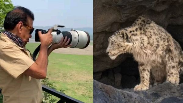 World Photography Day: आठ घंटे की कड़ी मेहनत के बाद मिली हिम तेंदुए की तस्वीर, फोटोग्राफी का शानदार जुनून