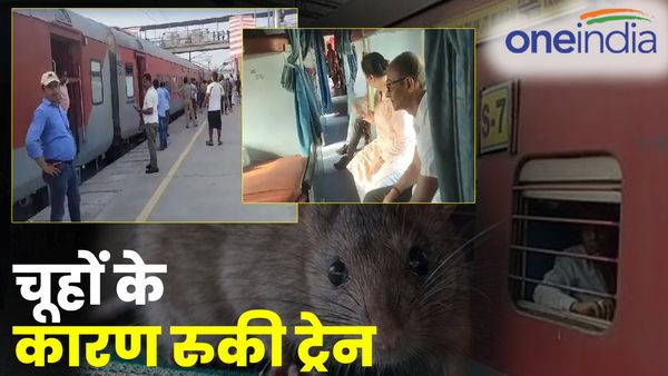 UP: चूहों के कारण रुकी ट्रेन, यात्रियों ने प्लेटफॉर्म पर किया हंगामा