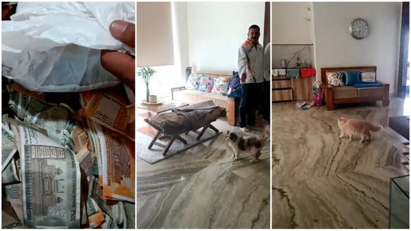 विदेशी बिल्लियों के लिए AC कमरा, स्टोर कीपर अशफाक अली के घर देर रात तक चली लोकायुक्त की कार्रवाई