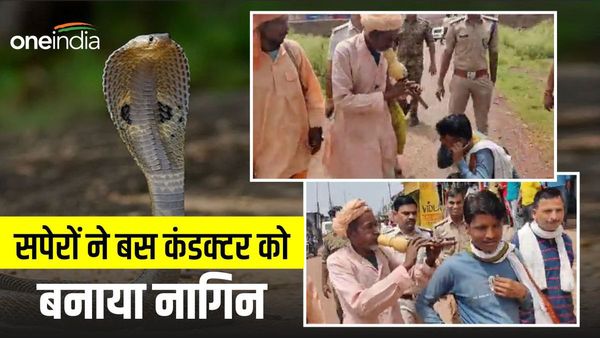 Gwalior News: बस कंडक्टर करता था छात्रा से छेड़छाड़, सपेरे ने उतारा आशिक का भूत, Video