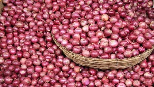 आज से दिल्ली में 25 रुपए किलोग्राम की दर से प्याज बेचेगी सरकार