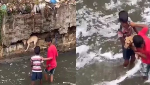 अपनी जान की परवाह किए बगैर बच्चों ने बचाई कुत्ते की जान, 17 लाख लोगों ने देखा VIDEO