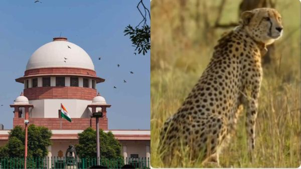 'केंद्र की तैयारी पर संदेह करने का कोई कारण नहीं', कूनो में चीता की मौत पर सुप्रीम कोर्ट ने बंद कर दी सुनवाई