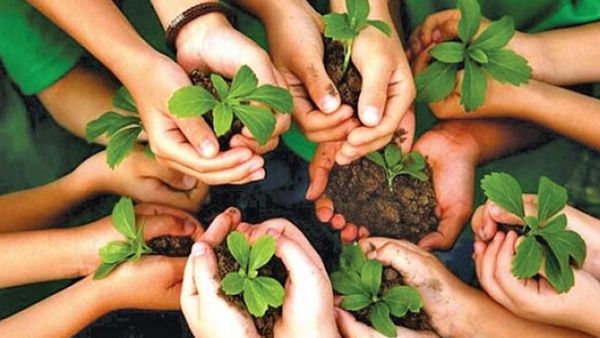 दिल्ली में वन महोत्सव का आगाज, सरकार 52 लाख से ज्यादा करेगी पौधारोपण 