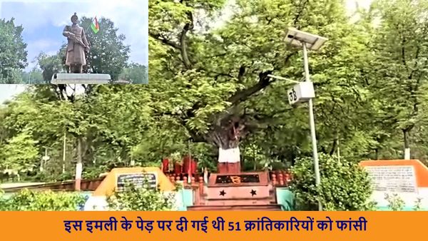 Independence Day: 52 क्रांतिकारियों को एक साथ दी गई थी फांसी, एक महीने तक पेड़ से लटकते रहे थे शव