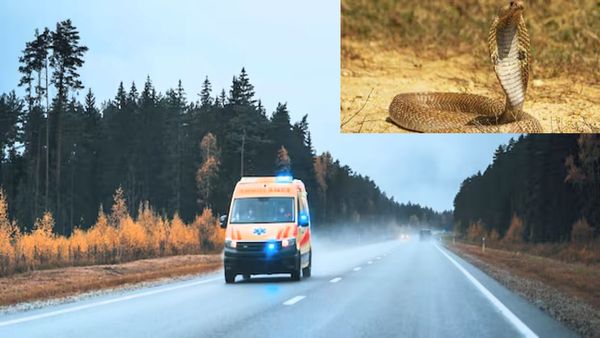 सर्पदंश से अंग हो गए थे पैरालाइसिस का शिकार, 1300 Km का सफर कर Gujarat से पहुंचा Kanpur, बच गई जान