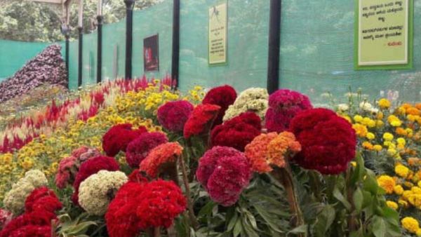 बेंगलुरू लालबाग में शुरू हुआ स्‍वतंत्रता दिवस का मशहूर Flower show, 29 लाख फूलों से बनी नजर आएगी विधान सभा