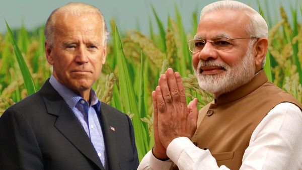 'कभी चावल के लिए दूसरे देशों पर निर्भर था भारत, आज दुनिया का भर रहा पेट’, अमेरिका ने की खूब तारीफ