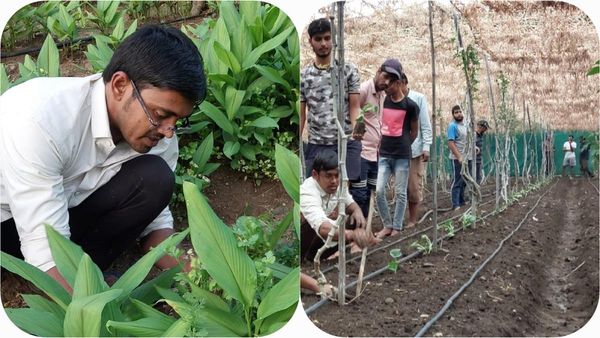 OPINION: जैविक खेती में बुलंदियों पर मप्र, देश में बना नंबर वन, 17.31 लाख हेक्टेयर में सबसे ज्यादा उत्पादन