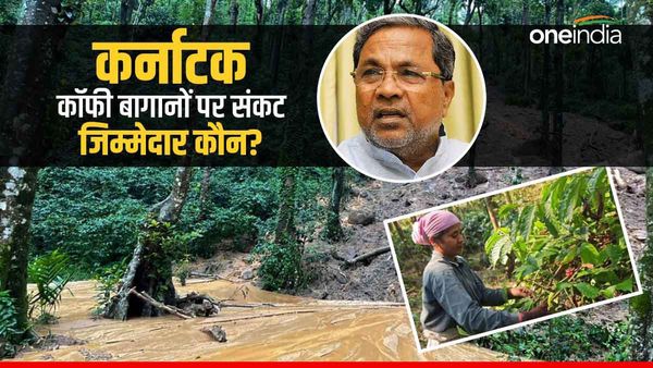 कर्नाटक के कॉफी बागानों पर संकट, कम पड़ रहे हैं मजदूर, क्या चुनावी गारंटी है जिम्मेदार?