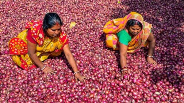 प्‍याज के निर्यात शुल्‍क के विरोध कर रहे महाराष्‍ट्र के किसानों को मिला भाजपा समर्थकों का साथ