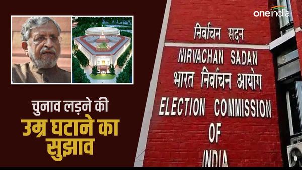 लोकसभा, विधानसभा चुनाव लड़ने की न्यूनतम उम्र कम की जाए, संसदीय पैनल ने दिया इस आयु का सुझाव