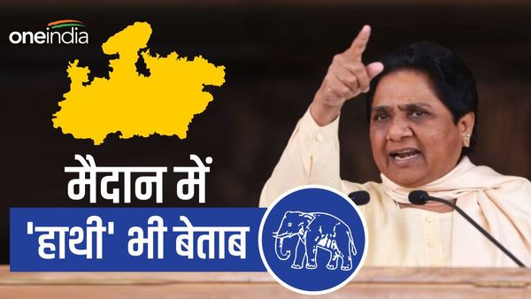 MP Assembly Election 2023: चुनाव मैदान में 'हाथी' भी दिखाएगा अपनी ताकत, दूसरे पखवाड़े में बसपा की दूसरी लिस्ट