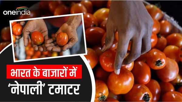 Tomato Price: भारत में टमाटर की किल्लत दूर कर पाएगा नेपाल? पड़ोसी देश ने मांगी मोदी सरकार से ये खास रियायत