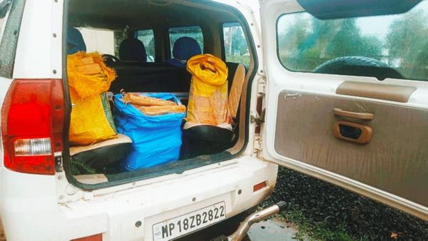 Shahdol News: पुष्पा मूवी देखकर आया तस्करी का आइडिया, अंतरराज्यीय गैंग बनाकर करने लगे चंदन लकड़ी की चोरी