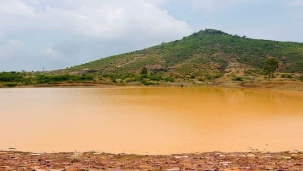 Satna News: अमृत सरोवर के निर्माण से 28 हजार 500 घन मीटर की जल क्षमता बढ़ी, मछली पालन और खेती में मिलेगी मदद