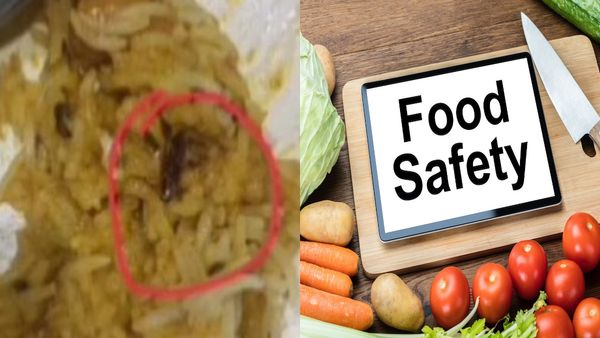 Food Safety: होटल के खाने में मिले कॉकरोच, कीड़े या फंगस, तो ऐसे दर्ज करें अपनी शिकायत