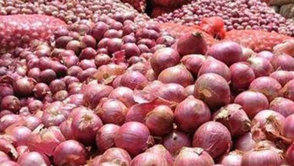 Onion price in Lucknow: टमाटर के बाद अब रुलाएगी प्याज की बढ़ती कीमतें, जानिए व्यापारियों के दावे
