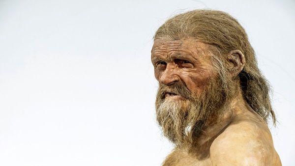 Otzi Iceman: हिमममानव का तुर्की के किसानों से कनेक्शन! रहस्यमयी DNA से खुला राज
