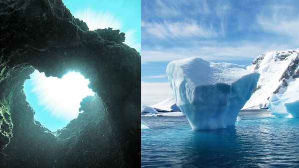 'जाल खींचते ही वो तेजी से बढ़ा...', समुद्र के अंदर से निकला 20 हाथों वाला रहस्यमयी जीव, पहली तस्वीर आई सामने