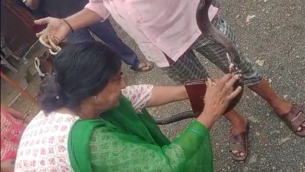 Amazing: हे भगवान! महिला डॉक्टर ने घर में घुसे घायल सांप की कर दी मलहम पट्टी, आगे क्या हुआ जानने के लिए पढ़िए