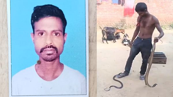Bareilly: नागपंचमी मेले में करतब दिखा रहे सपेरे को कोबरा ने काटा, मौत के बाद हुआ Video Viral