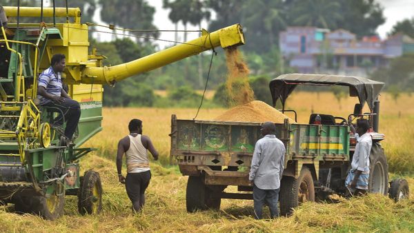तेलंगाना ने 25 लाख टन धान की नीलामी के लिए मांगा ग्लोबल टेंडर