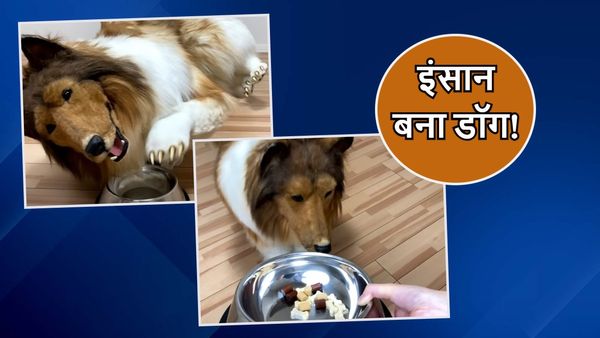 OMG! 12 लाख खर्च कर डॉग बना शख्स अब खा रहा ऐसा फूड, सामने आया ये VIDEO