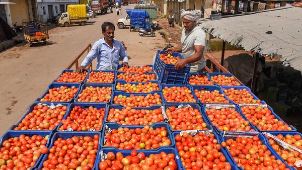 Tomato Price: नेपाल से आई बड़ी राहत, आज से यूपी में 50 रुपये प्रति किलो बिक रहा टमाटर