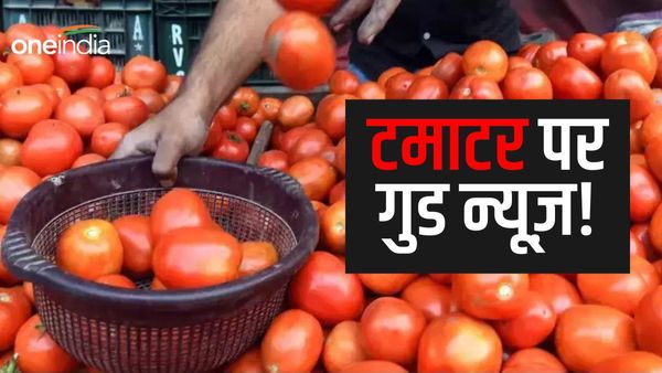 टमाटर पर खुशखबरी, पैदावार में भारी उछाल की संभावना, जानें कब से कम हो सकते हैं दाम?