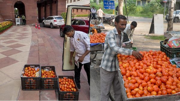 20 अगस्त से इन राज्यों में 40 रुपए किलो टमाटर बेचेगी सरकार