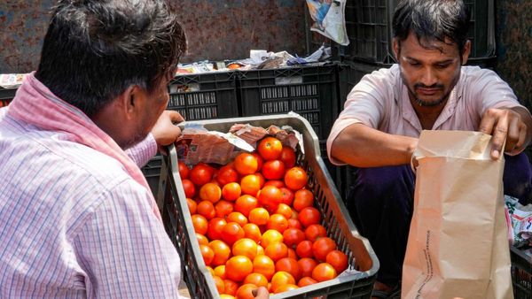 पूरी दुनिया में भेजा जाता है भारतीय टमाटर, फिर दूसरे सबसे बड़े उत्पादक को नेपाल से खरीदने की क्यों आई नौबत?